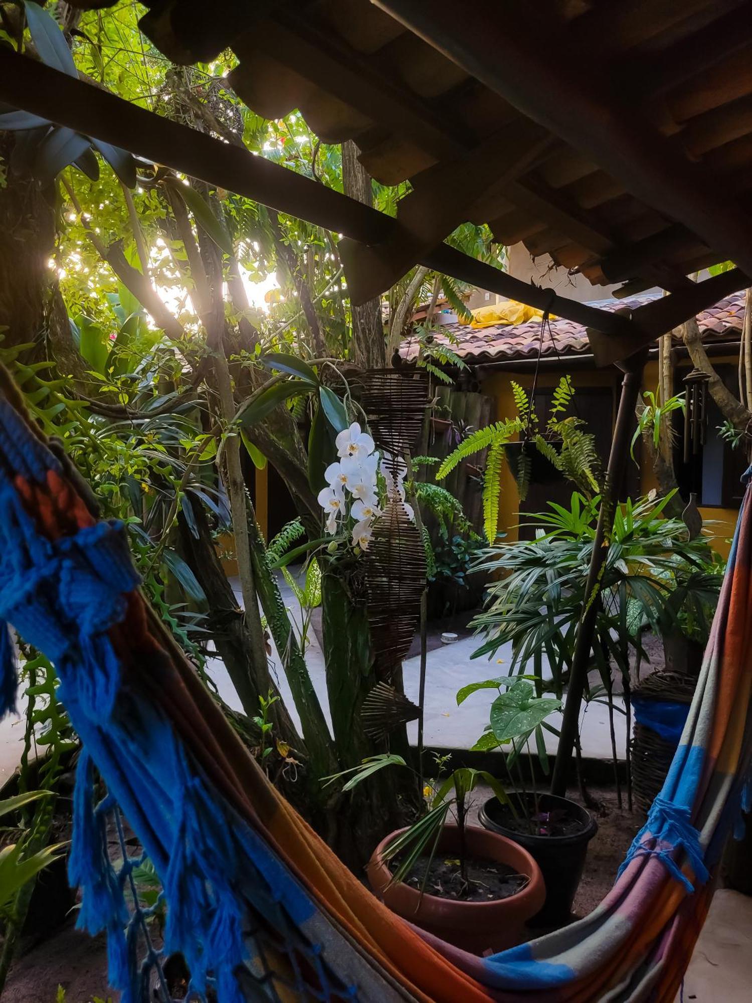 Pousada Raiz Forte Caraíva 外观 照片