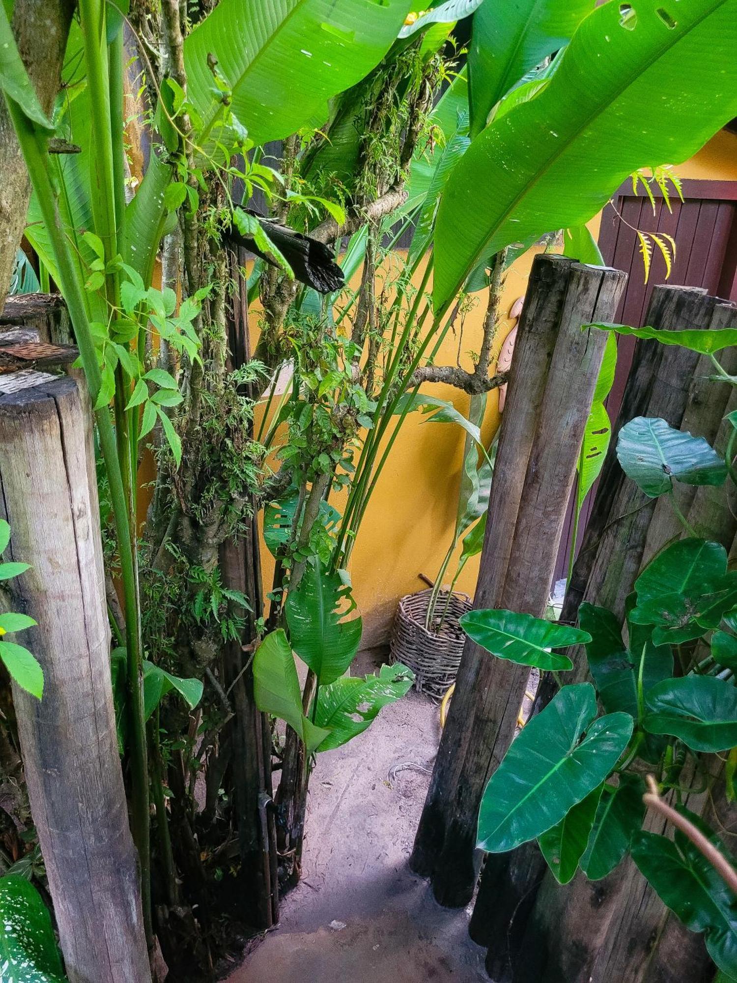 Pousada Raiz Forte Caraíva 外观 照片