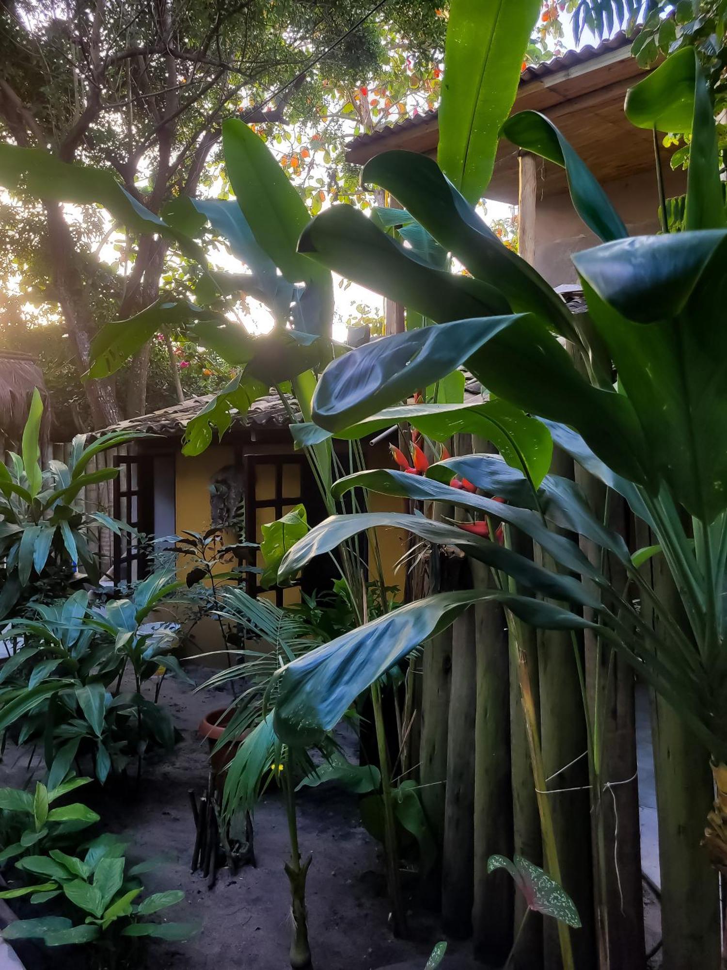 Pousada Raiz Forte Caraíva 外观 照片